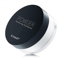 Рассыпчатая Пудра Powder Perfecting Foundation