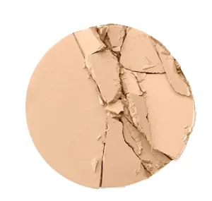 Микродисперсная пудра для идеальной матовой кожи Airbrush Flawless Finish Setting Powder 