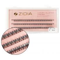 Накладные Ресницы Пучковые Cluster Lashes Fish Tail 12D